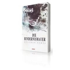 Die Hindernismauer, image 