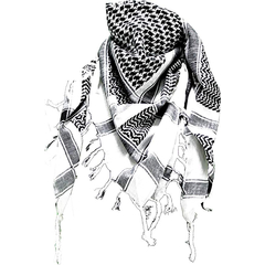 Pali-Tuch, Pali-Schal, Palischal - Palästinenser Tuch Schal in verschiedenen Farben Weiss/schwarz, OneSize, image 