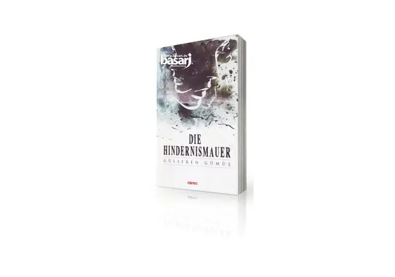 Die Hindernismauer, image 