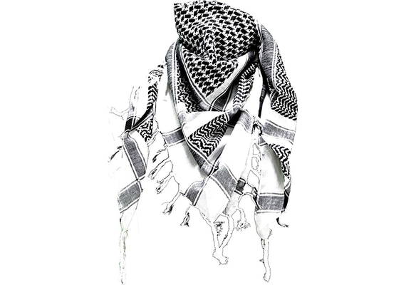 Pali-Tuch, Pali-Schal, Palischal - Palästinenser Tuch Schal in verschiedenen Farben Weiss/schwarz, OneSize, image 